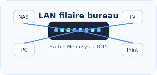 Illustration du réseau filaire du bureau avec switch Mercusys